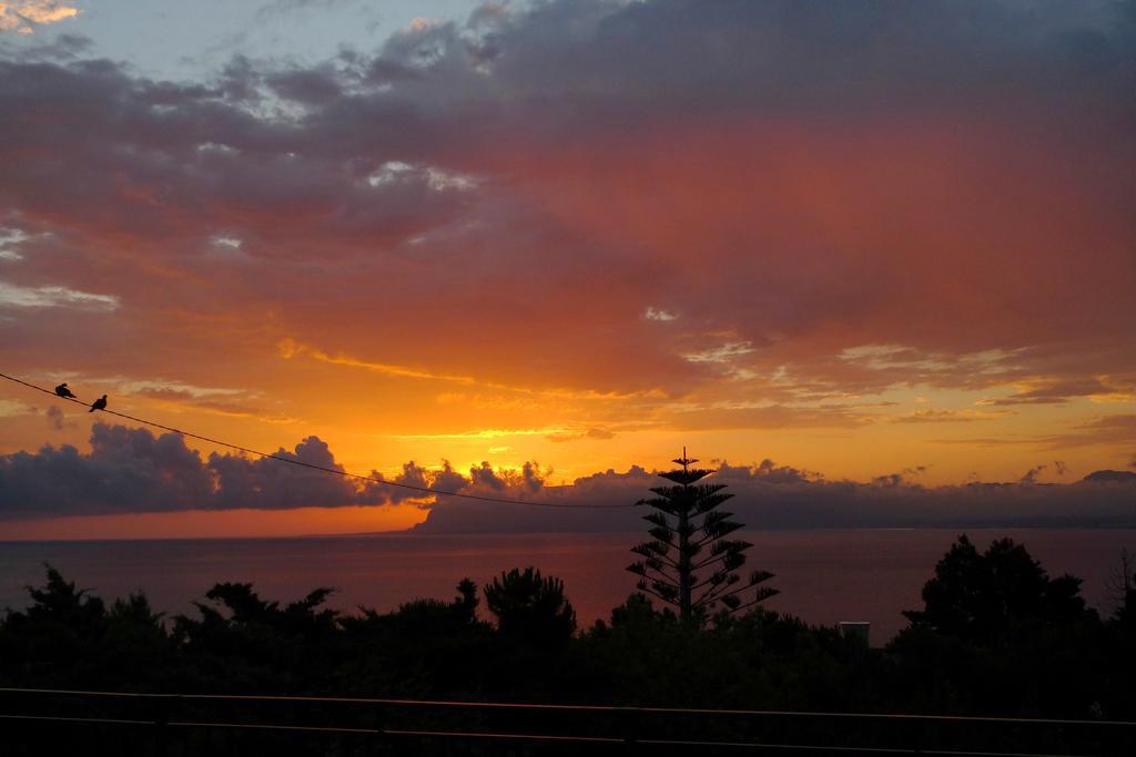 Casa Vacanze La Terrazza Sul Golfo 카스텔라마레델골포 외부 사진